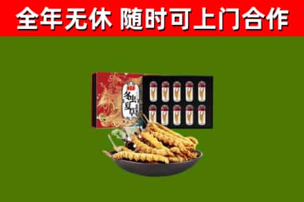 彭阳回收冬虫夏草价格